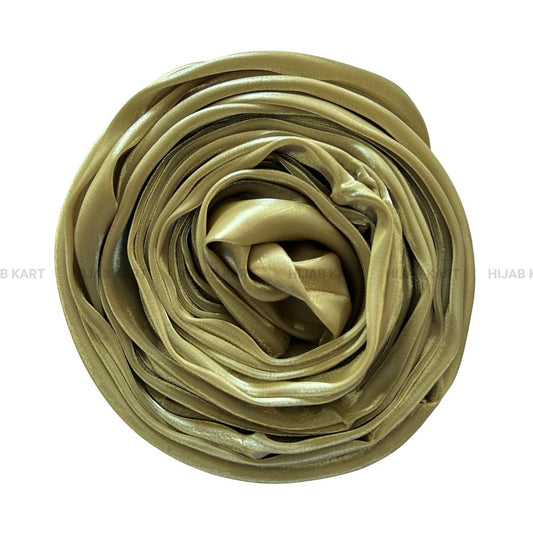 Olive Green- 3D Organza Hijab